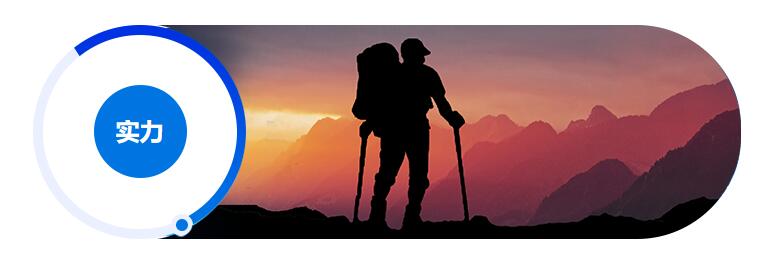 實(shí)力強(qiáng)、品牌好(圖1)